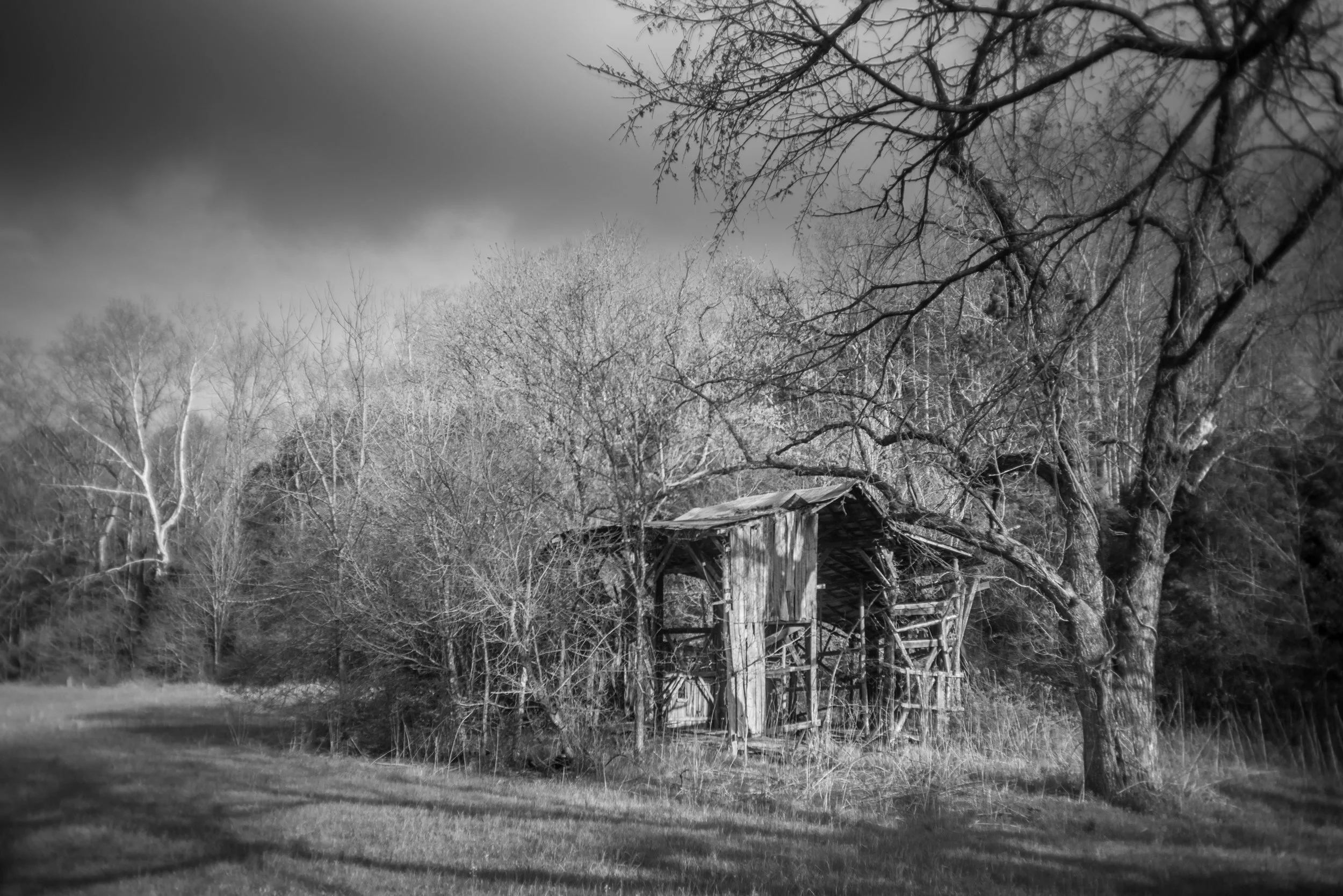 Old barn among bare trees at Little Marrowbone, Tennessee, black and white photograph from My Tennessee by Adam CK Vollick