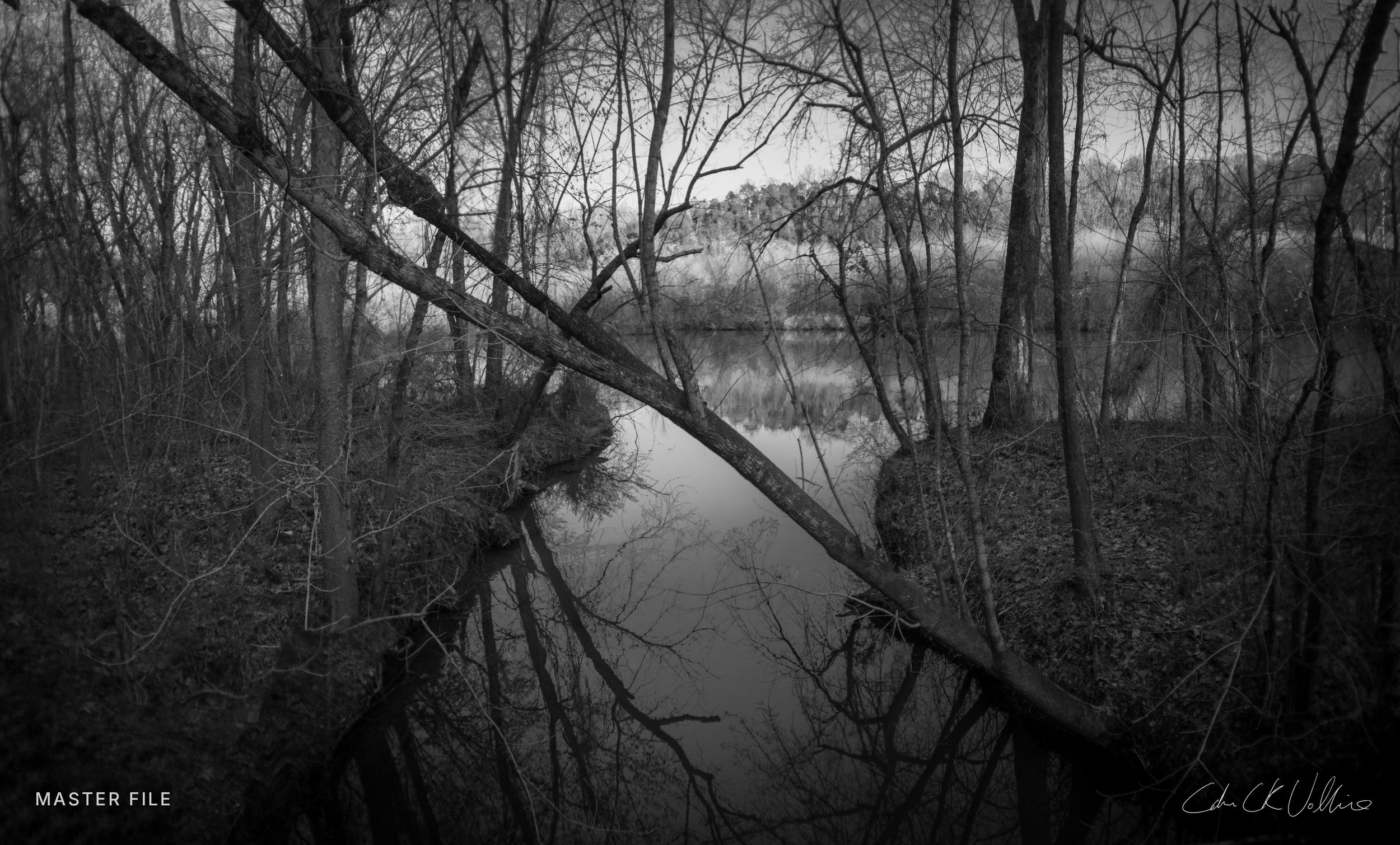 Small Creek Harpeth River - My Tennessee by Adam CK Vollick.jpg