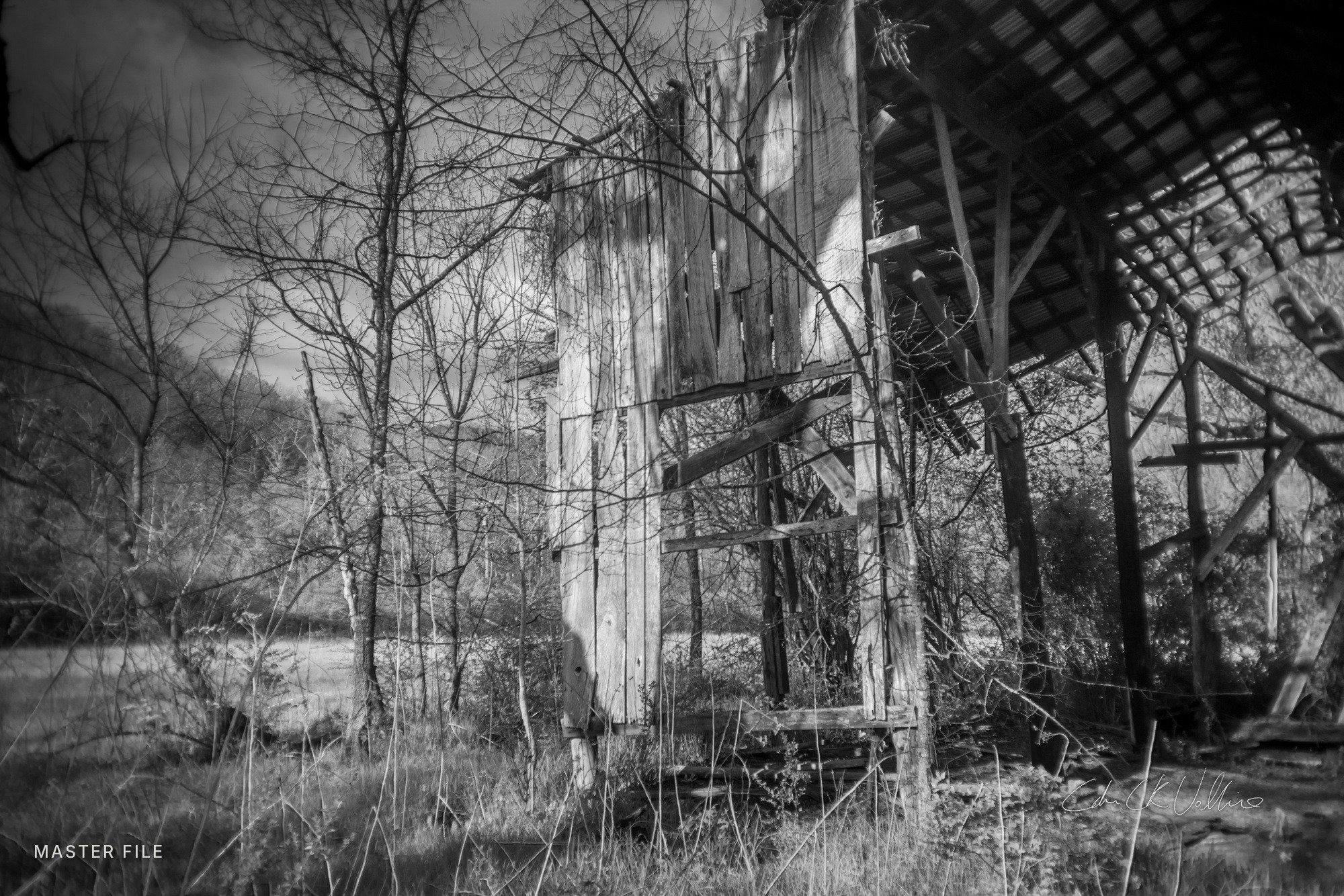 Little Marrowbone Old Barn Detail - My Tennessee by Adam CK Vollick.jpg