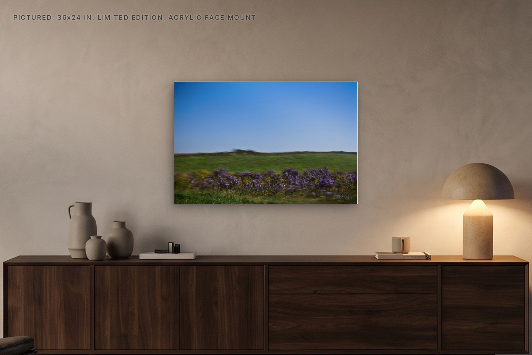 Purple Loosestrife - 36x24 acrylic face mount in the evening.jpg