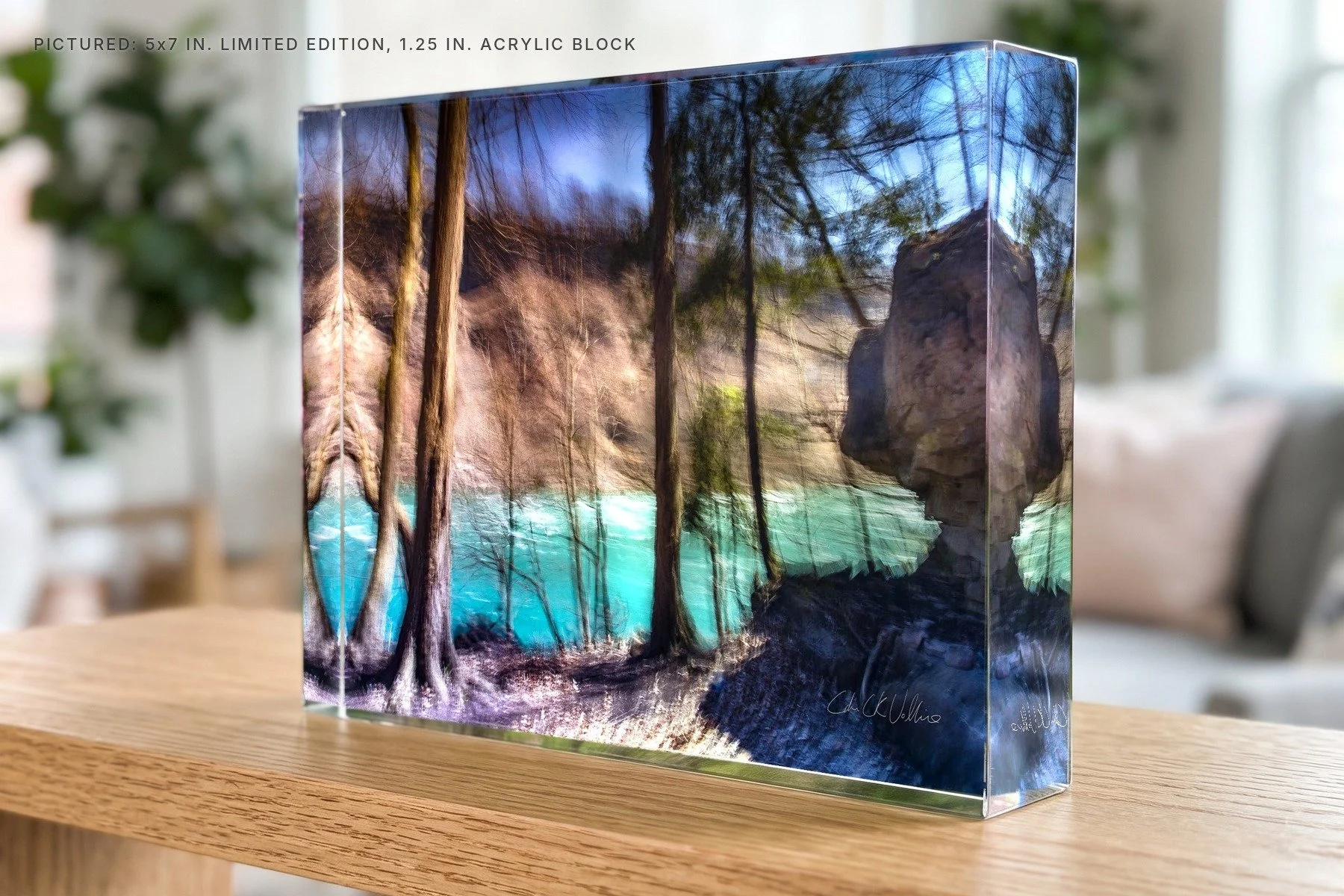 River of Energy 8 Niagara Glen - 5x7 acrylic block.jpg