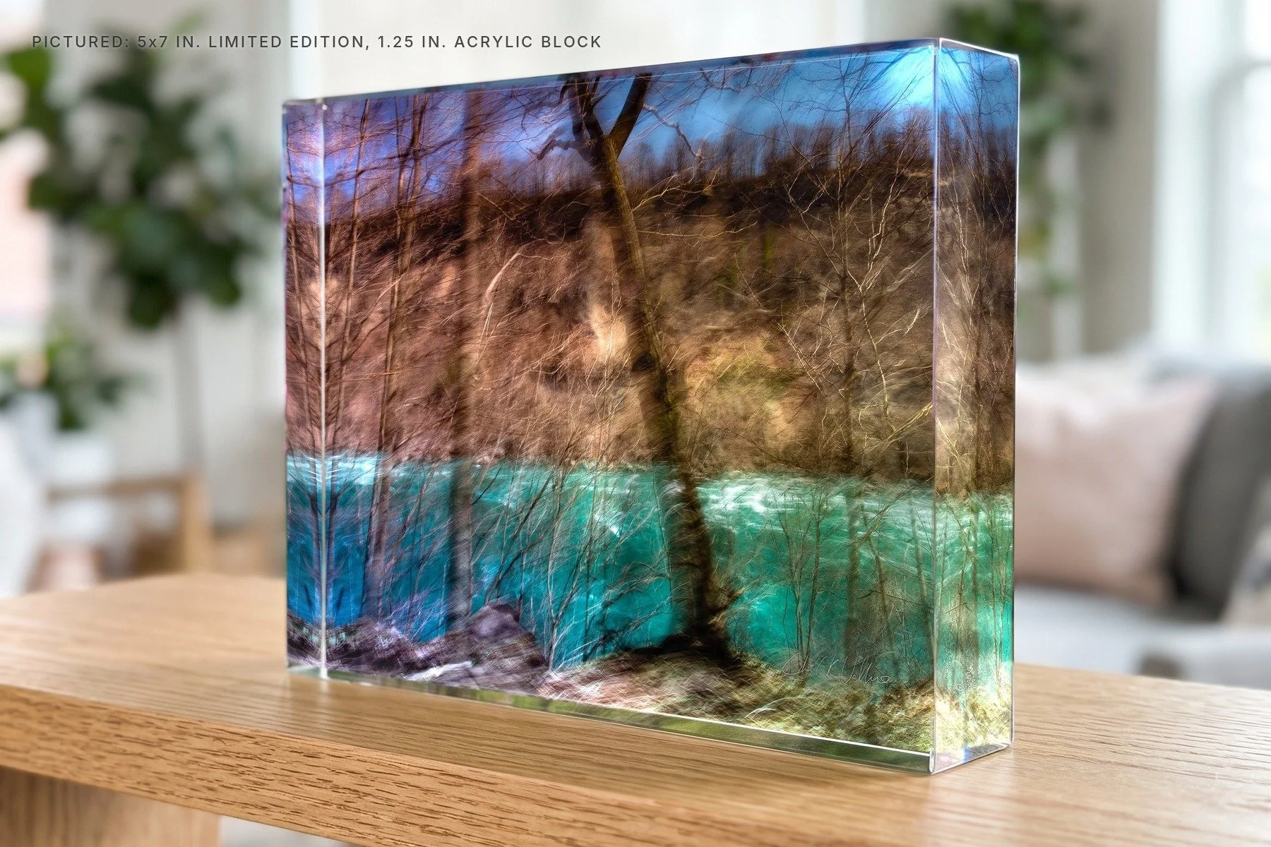 Nuclear Niagara 3 Niagara Glen - 5x7 acrylic block.jpg