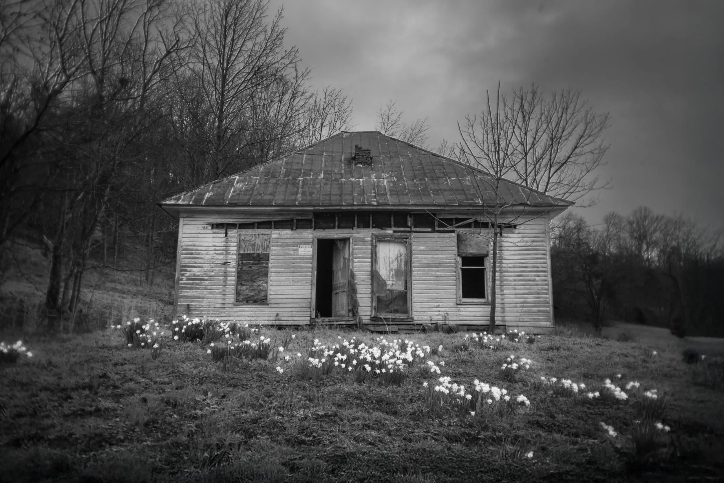 Abandoned hip-roof farmhouse with daffodils in the yard, black and white photograph from My Tennessee by Adam CK Vollick