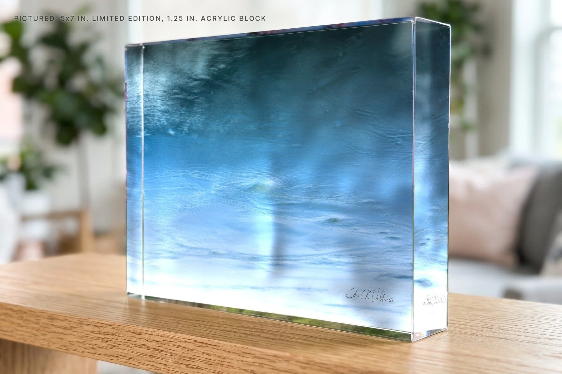 Surface Tension 4 Queenston - 5x7 acrylic block.jpg