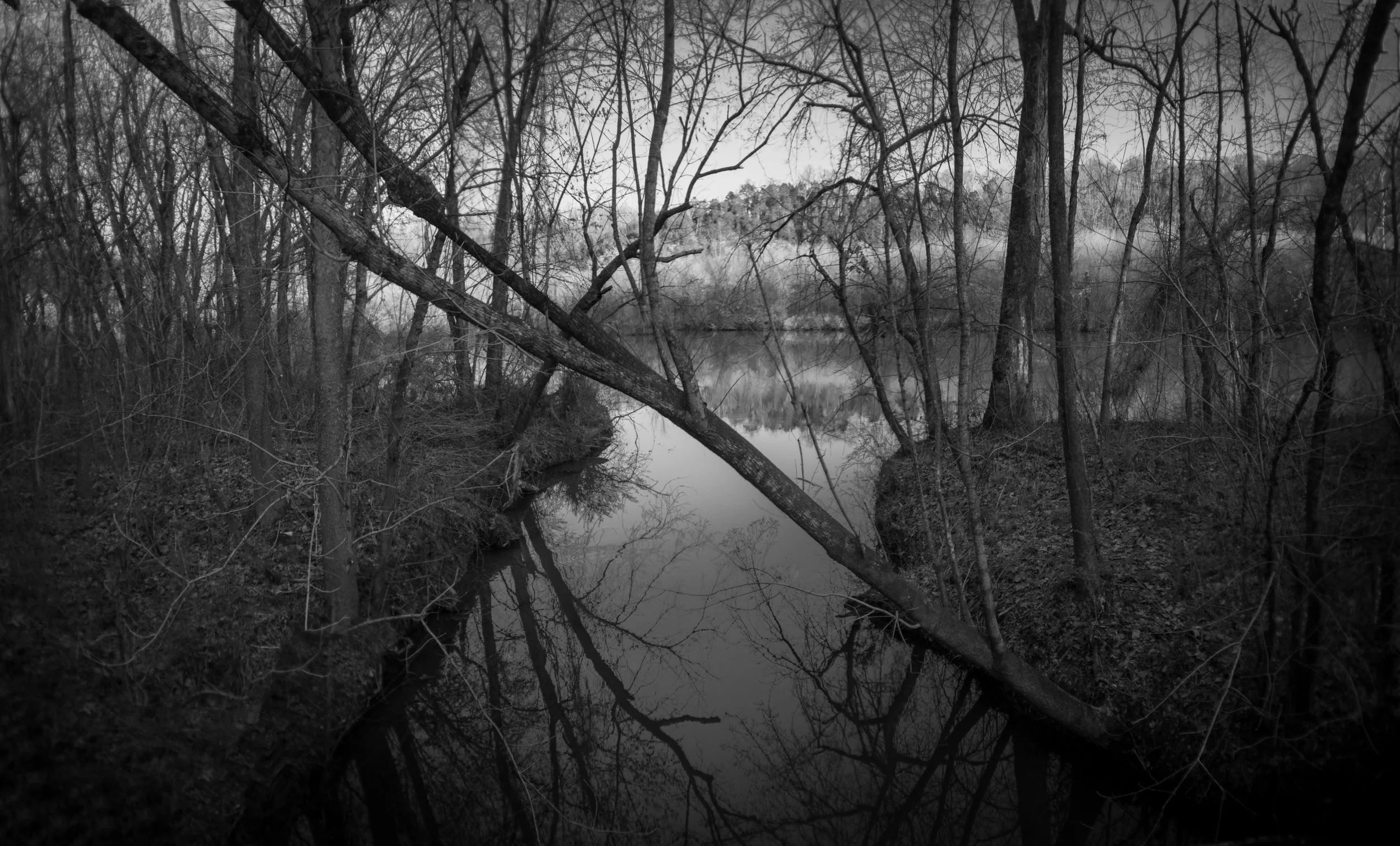 Fallen tree over still water near Bowker Road, Tennessee, black and white photograph from My Tennessee by Adam CK Vollick