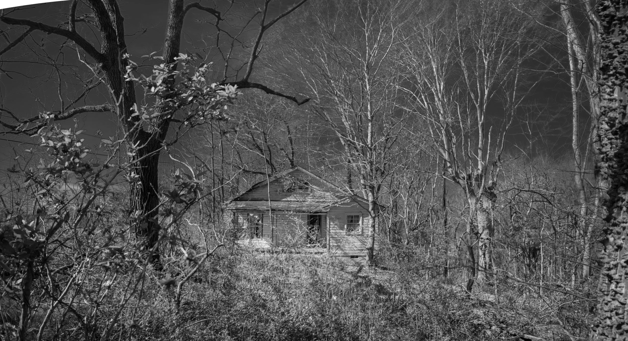 Small abandoned house swallowed by the woods near Bowker Road, Tennessee, black and white photograph from My Tennessee by Adam CK Vollick