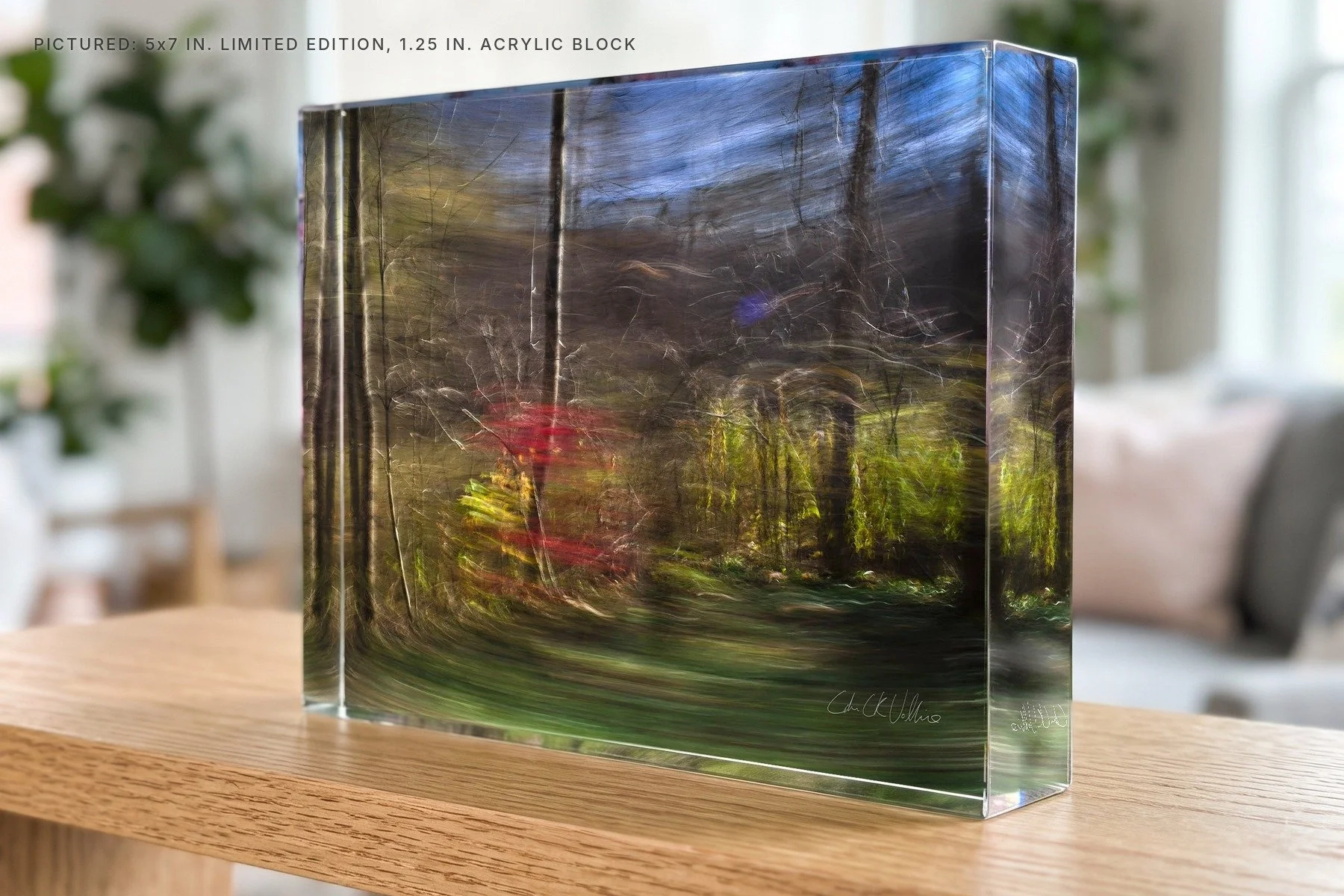 Burning Bush - 5x7 acrylic block.jpg