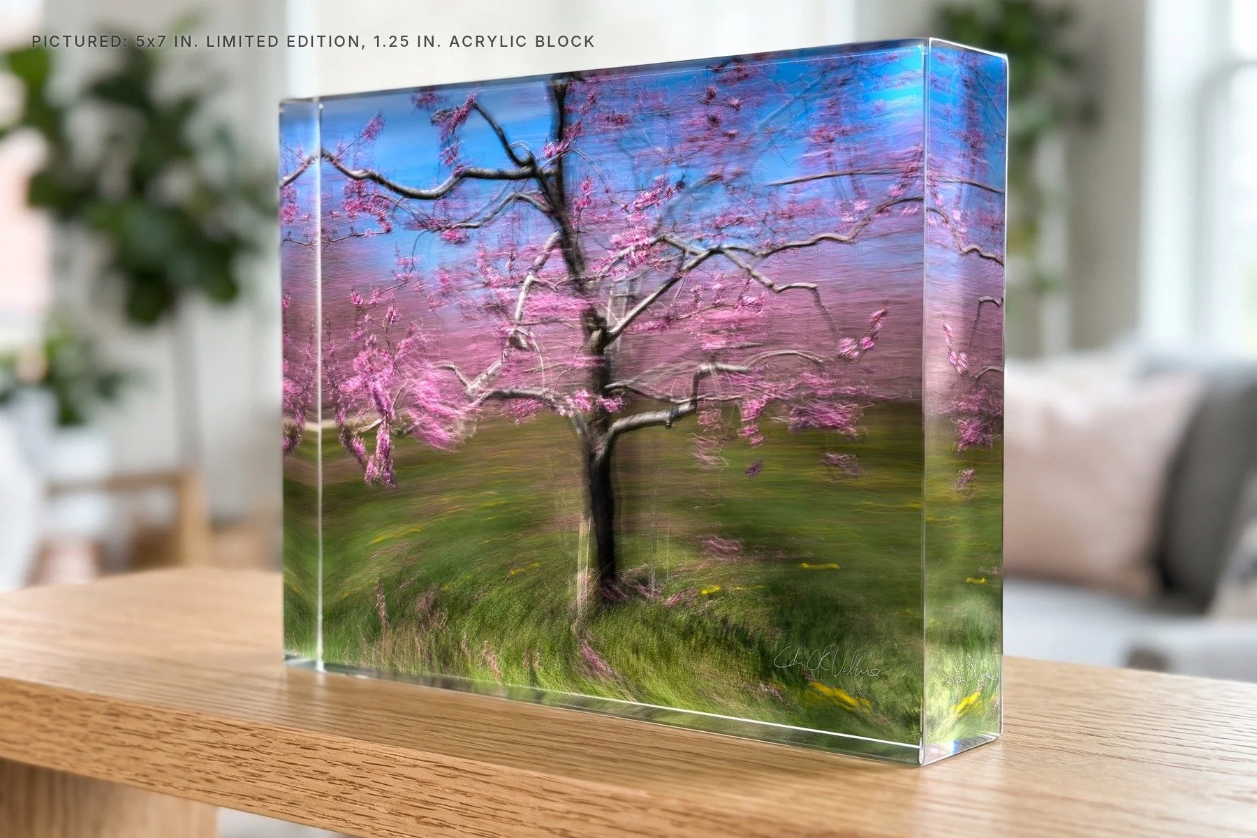 Cherry Orchard 1 Jordan - 5x7 acrylic block.jpg