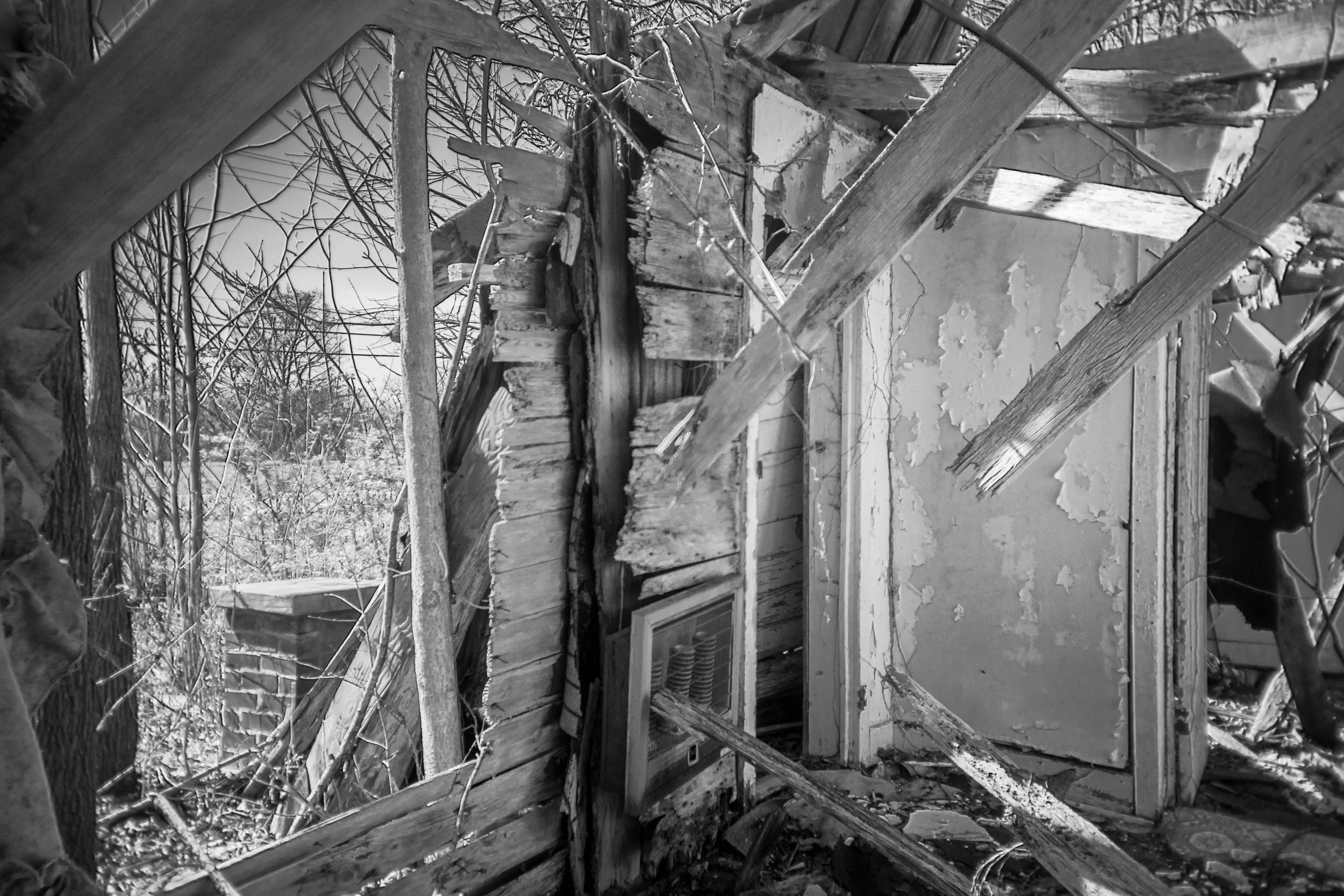 Room of an abandoned house open to the woods near Bowker Road, Tennessee, black and white photograph from My Tennessee by Adam CK Vollick