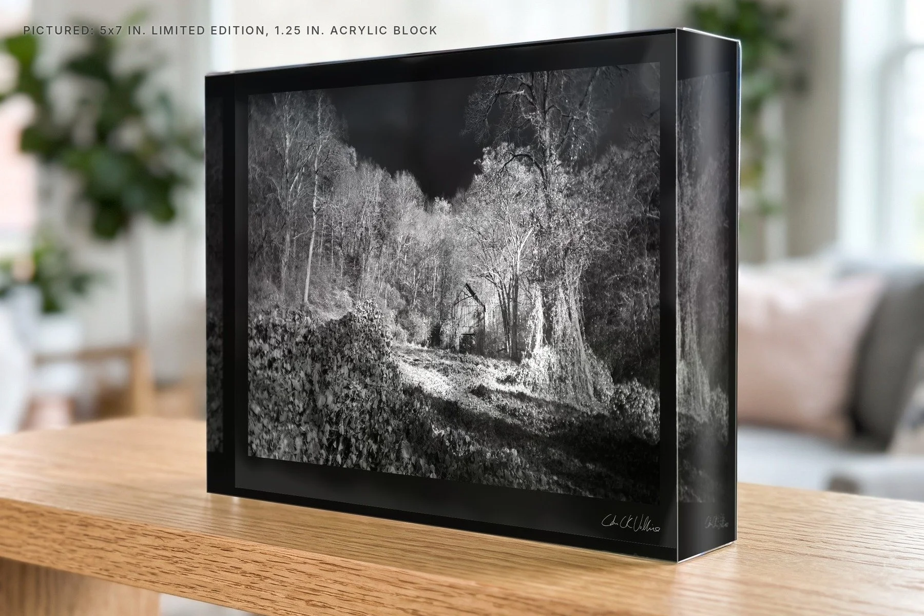 Kudzu-Covered Barn Cedar Hill Road - 5x7 acrylic block.jpg