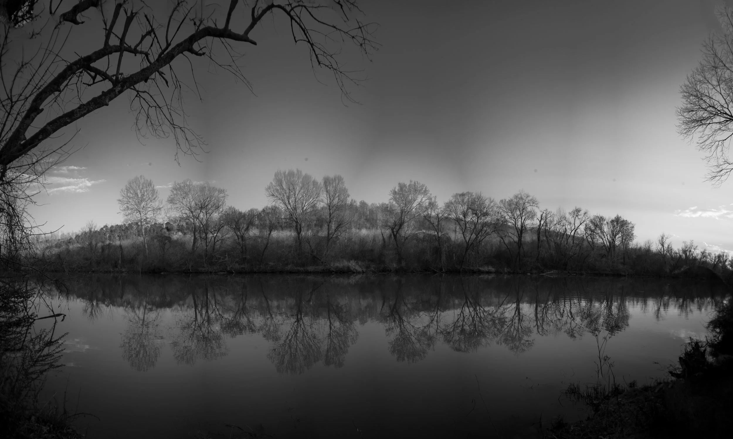 Tree line mirrored in a pond near Bowker Road, Tennessee, black and white photograph from My Tennessee by Adam CK Vollick