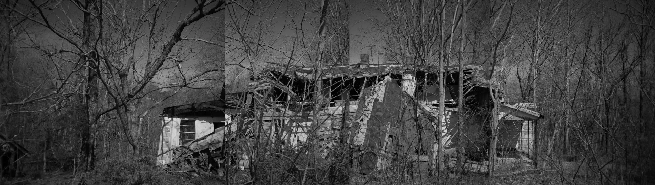 Panograph of a collapsing house in the trees near Bowker Road, Tennessee, black and white photograph from My Tennessee by Adam CK Vollick