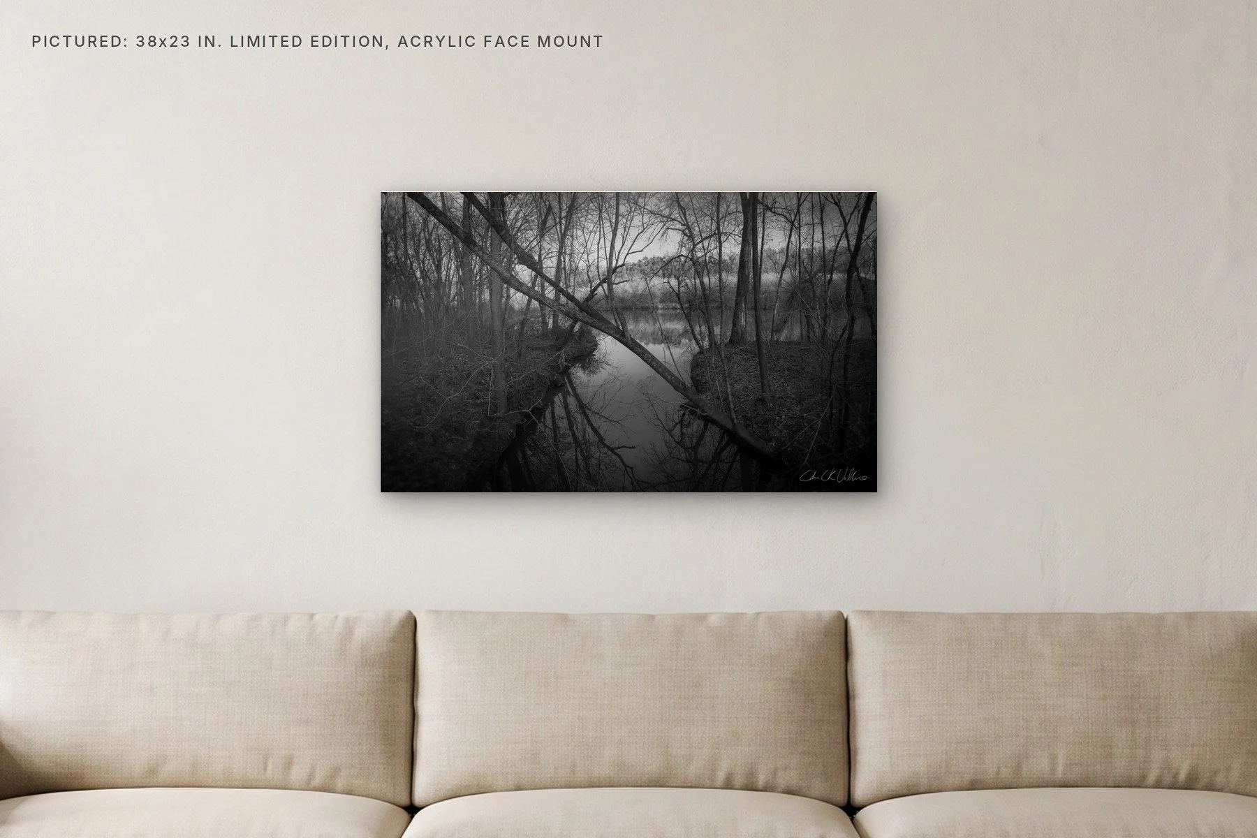 Small Creek Harpeth River - 38x23 acrylic face mount in a living room.jpg