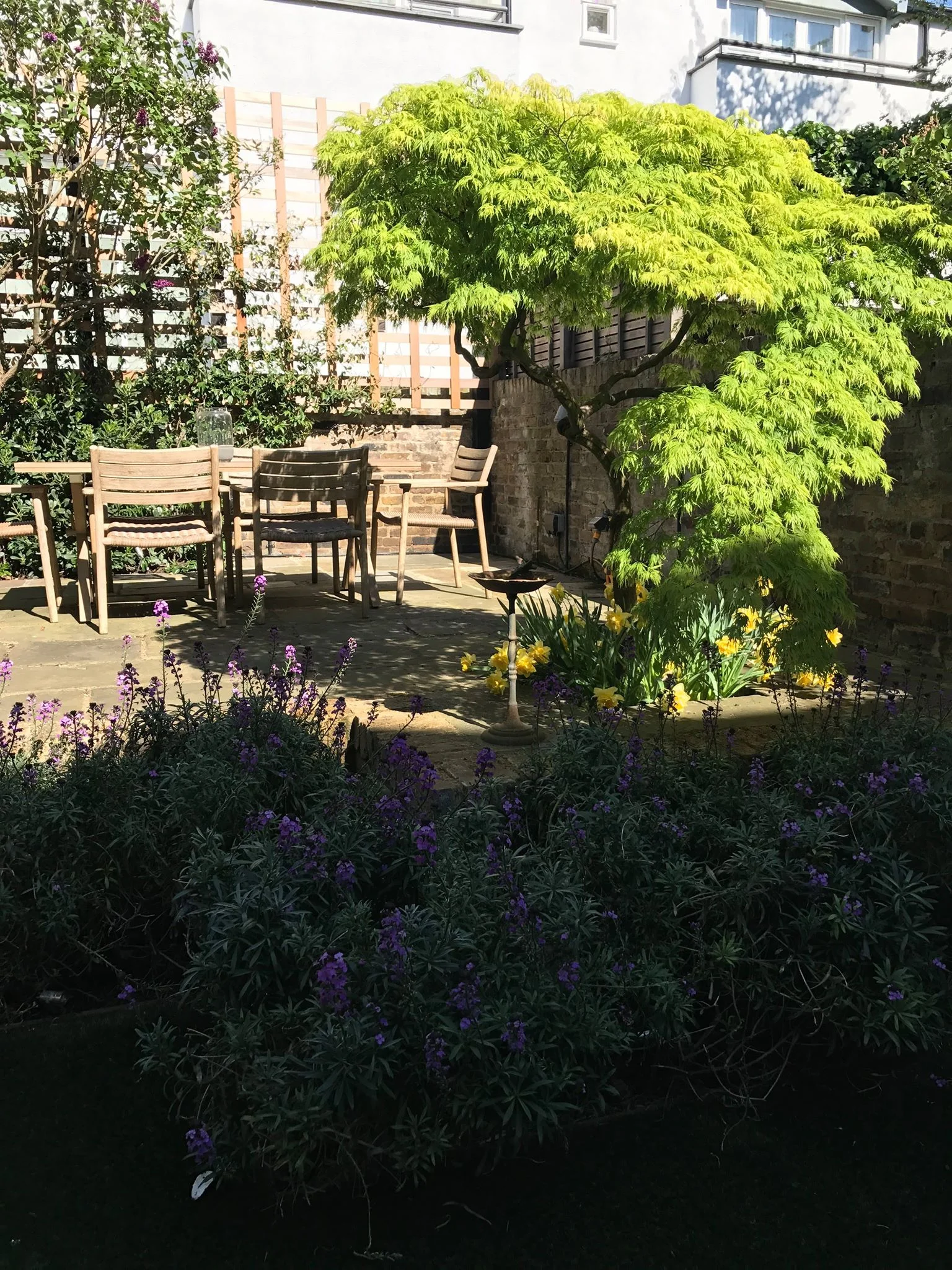 garden.jpg