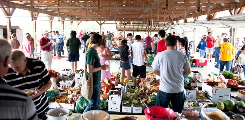 The Chesterhill Produce Auction