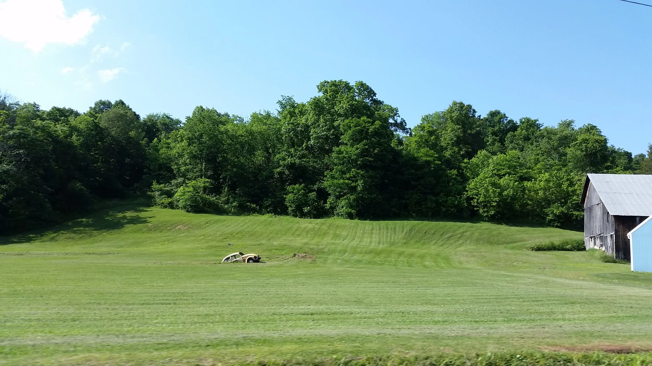 20180609_170325(0).jpg