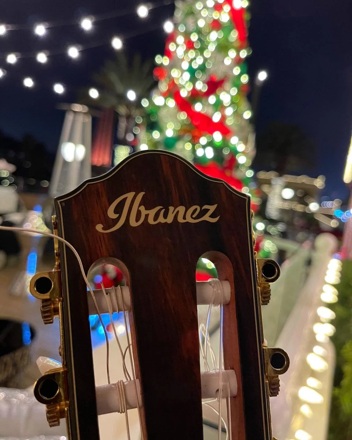 Christmas at Hotel delcoronado with Premier Patient Care 🎄🎸