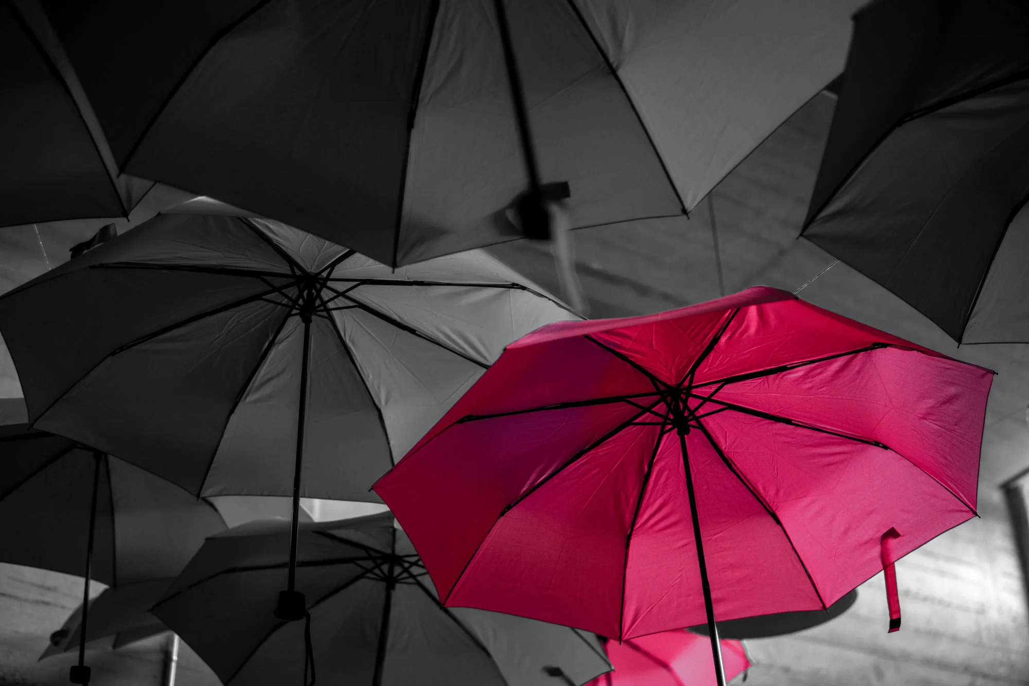 umbrella.jpg