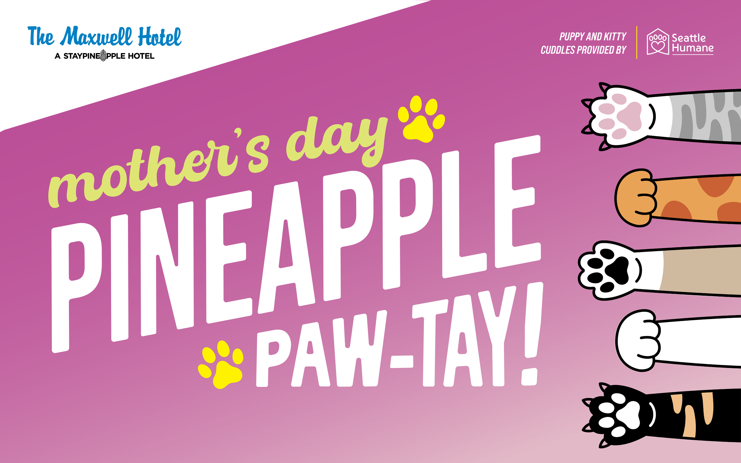 TMH_Moms Day Pineapple Paw-tay_Digital Images_Blog Image.png