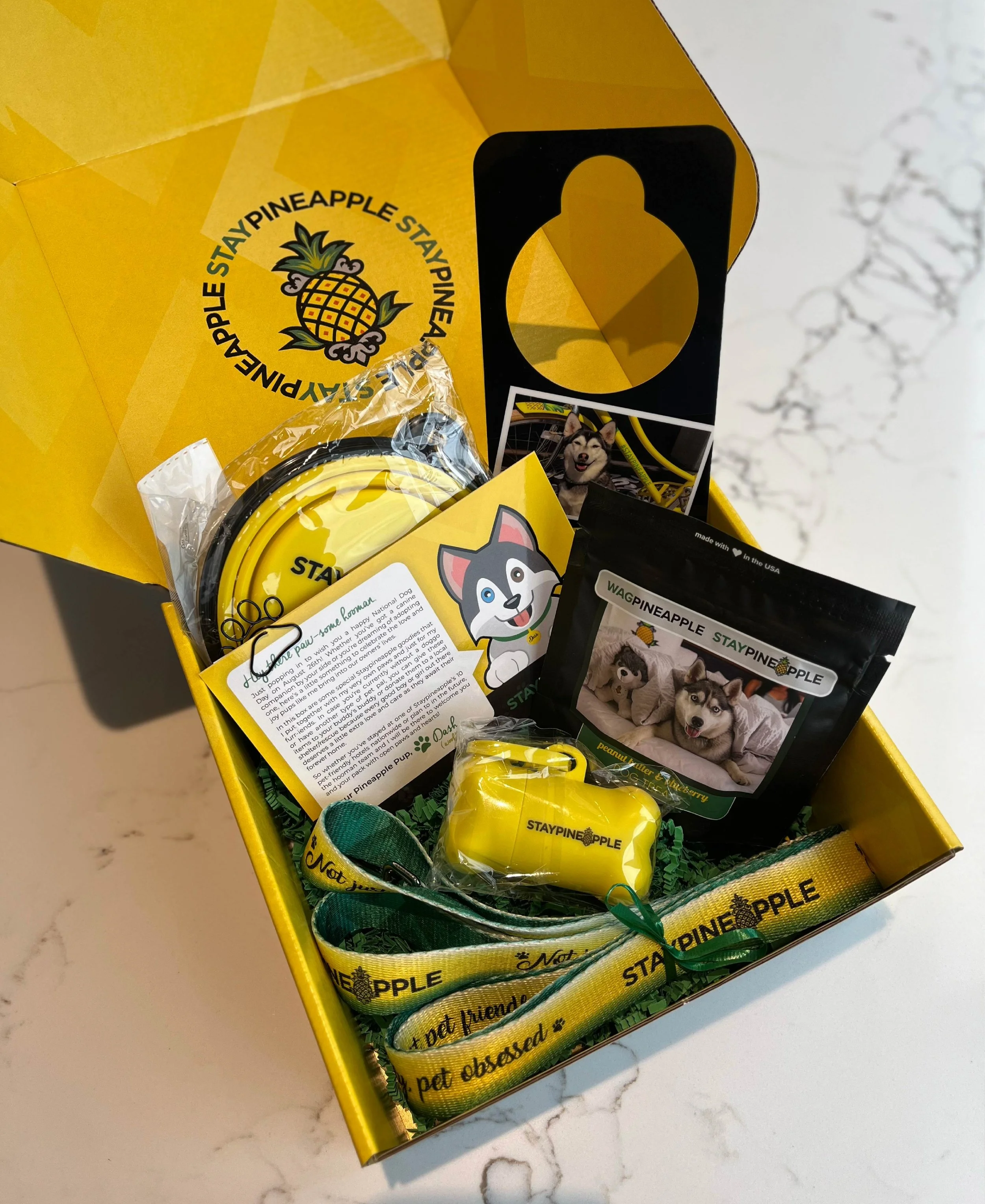 International Dog Day-Portfolio Images_Website-1-Box.jpg