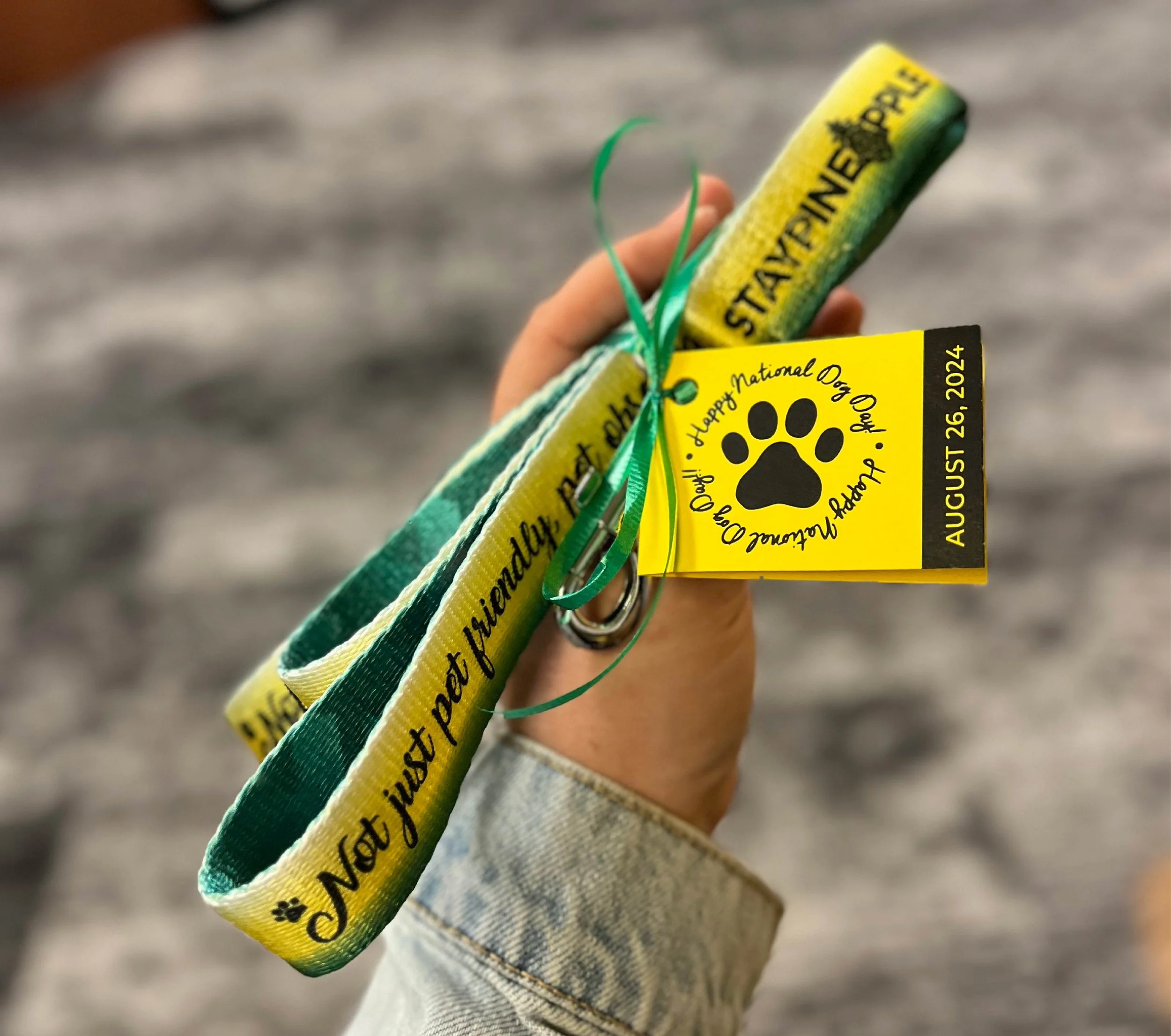 International Dog Day-Portfolio Images_Website-3-Leash.jpg
