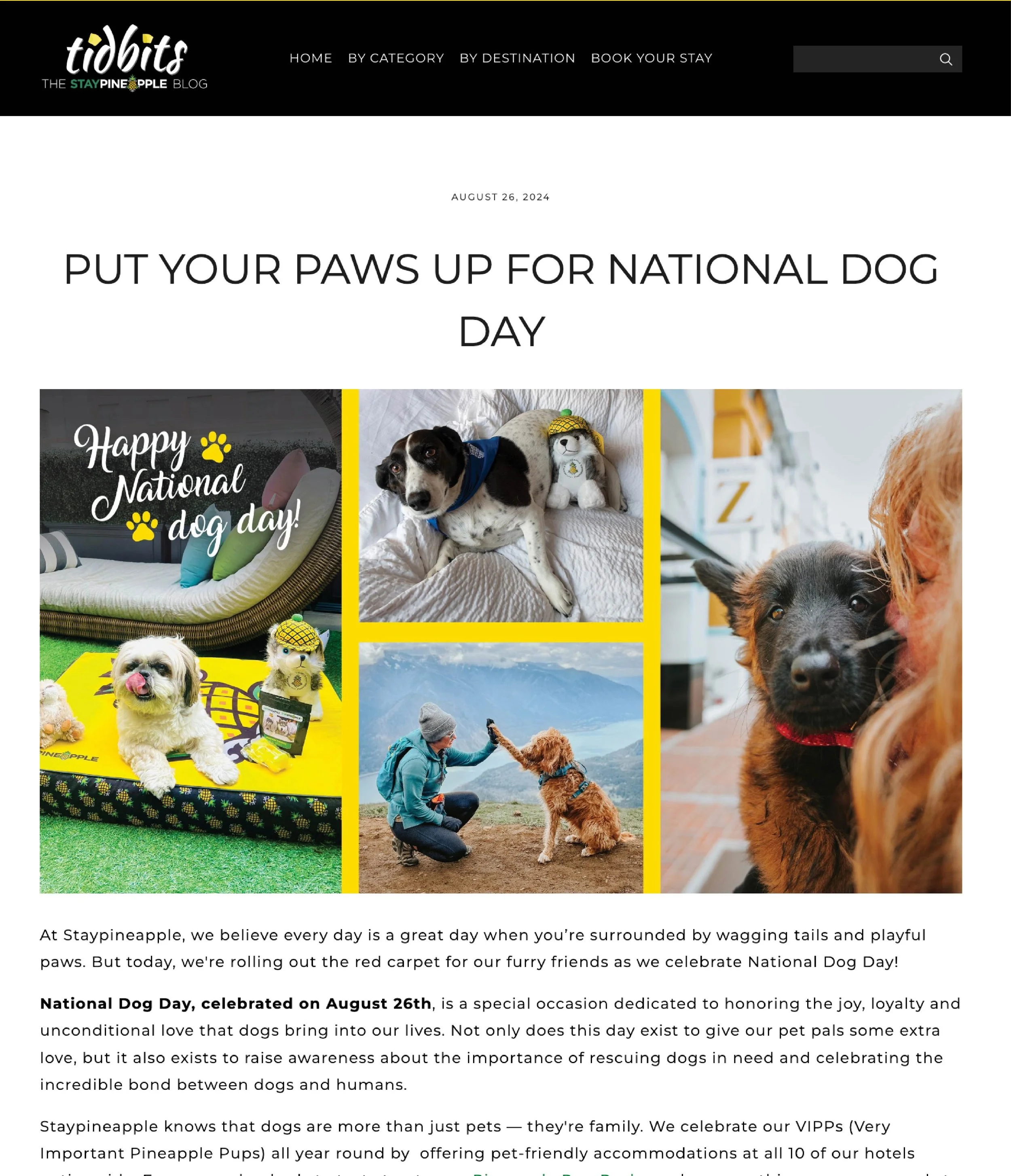 International Dog Day-Portfolio Images_Website-5-Blog.jpg