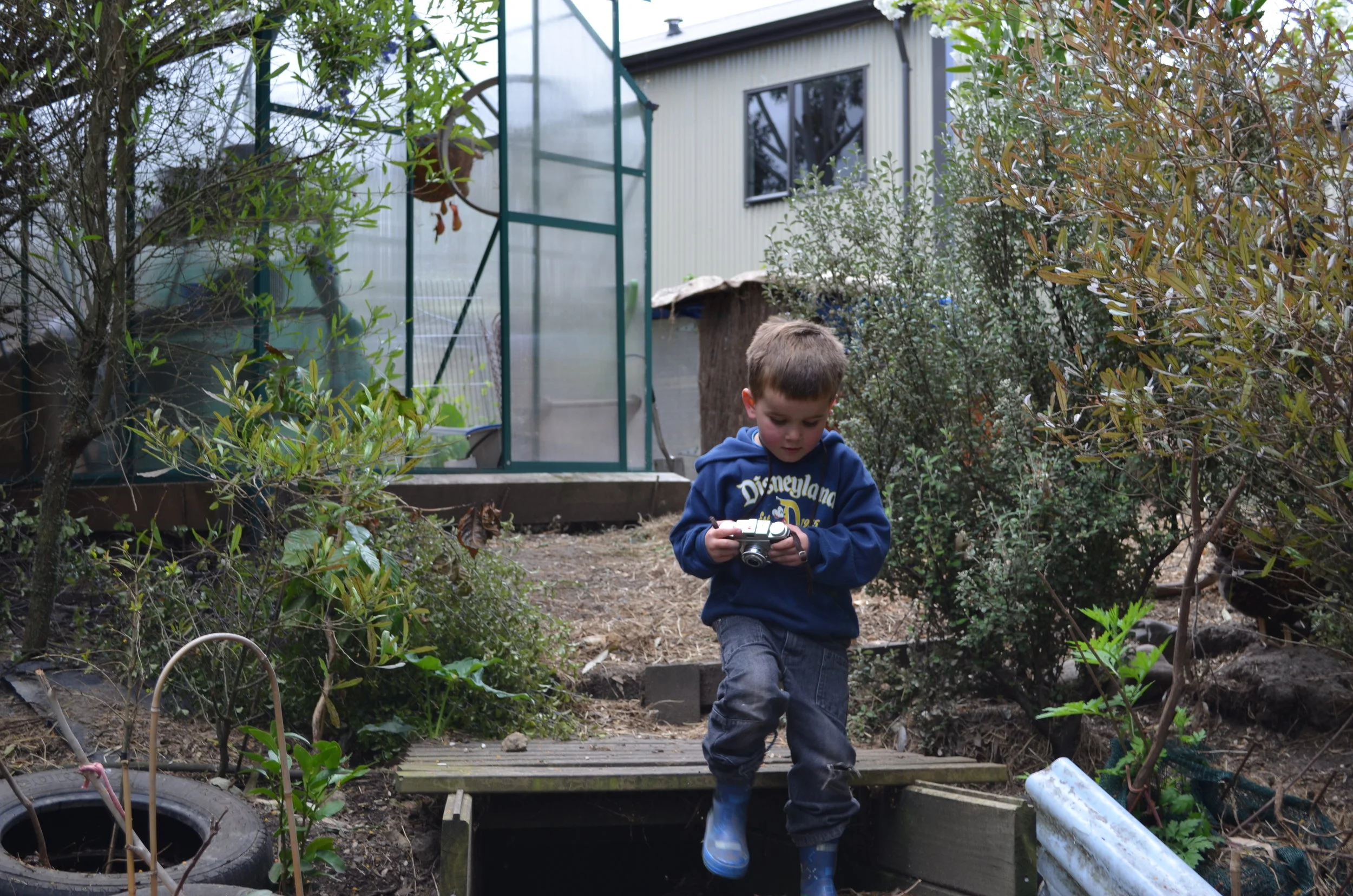 Off to take photos in our mini food forest.