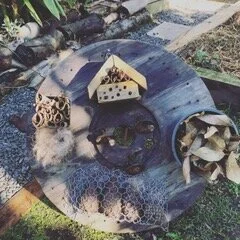 Bug Hotel