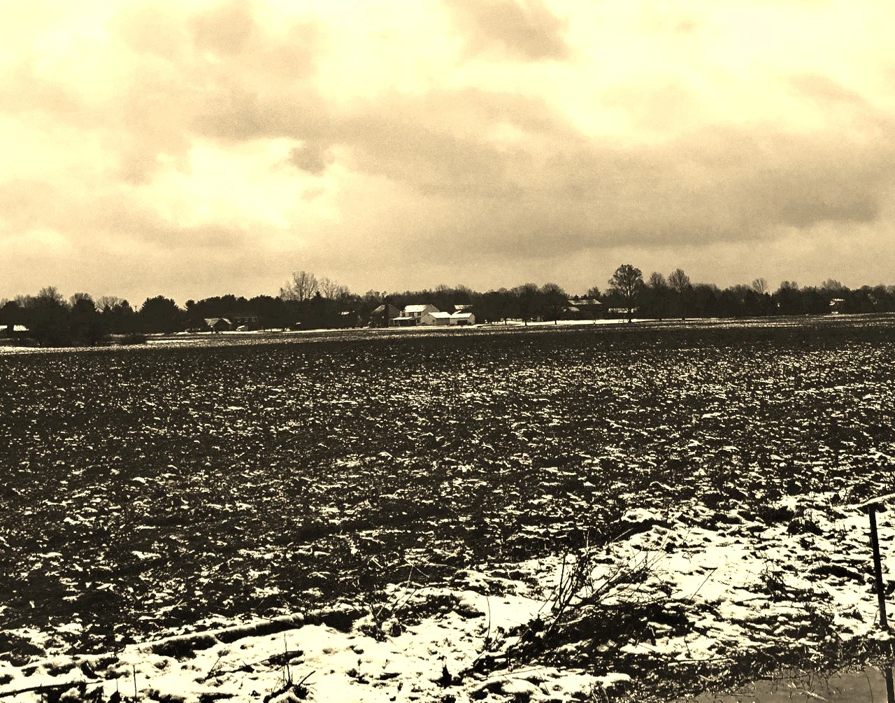 michiganfieldsnow.jpg