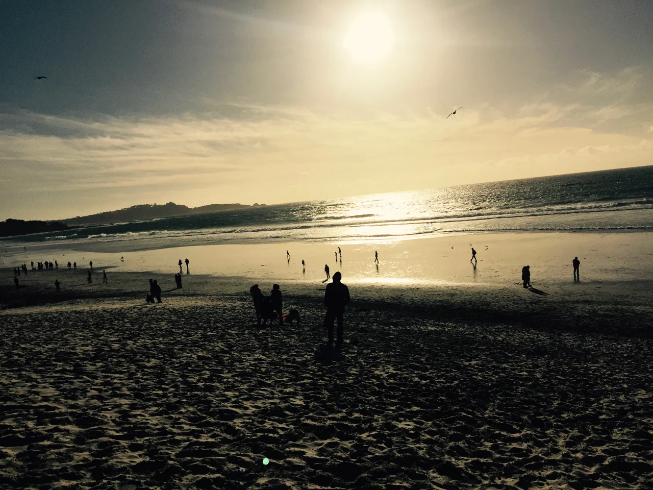 humansonbeach.jpg
