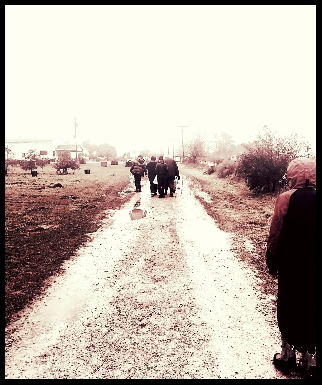 desolation2.jpg