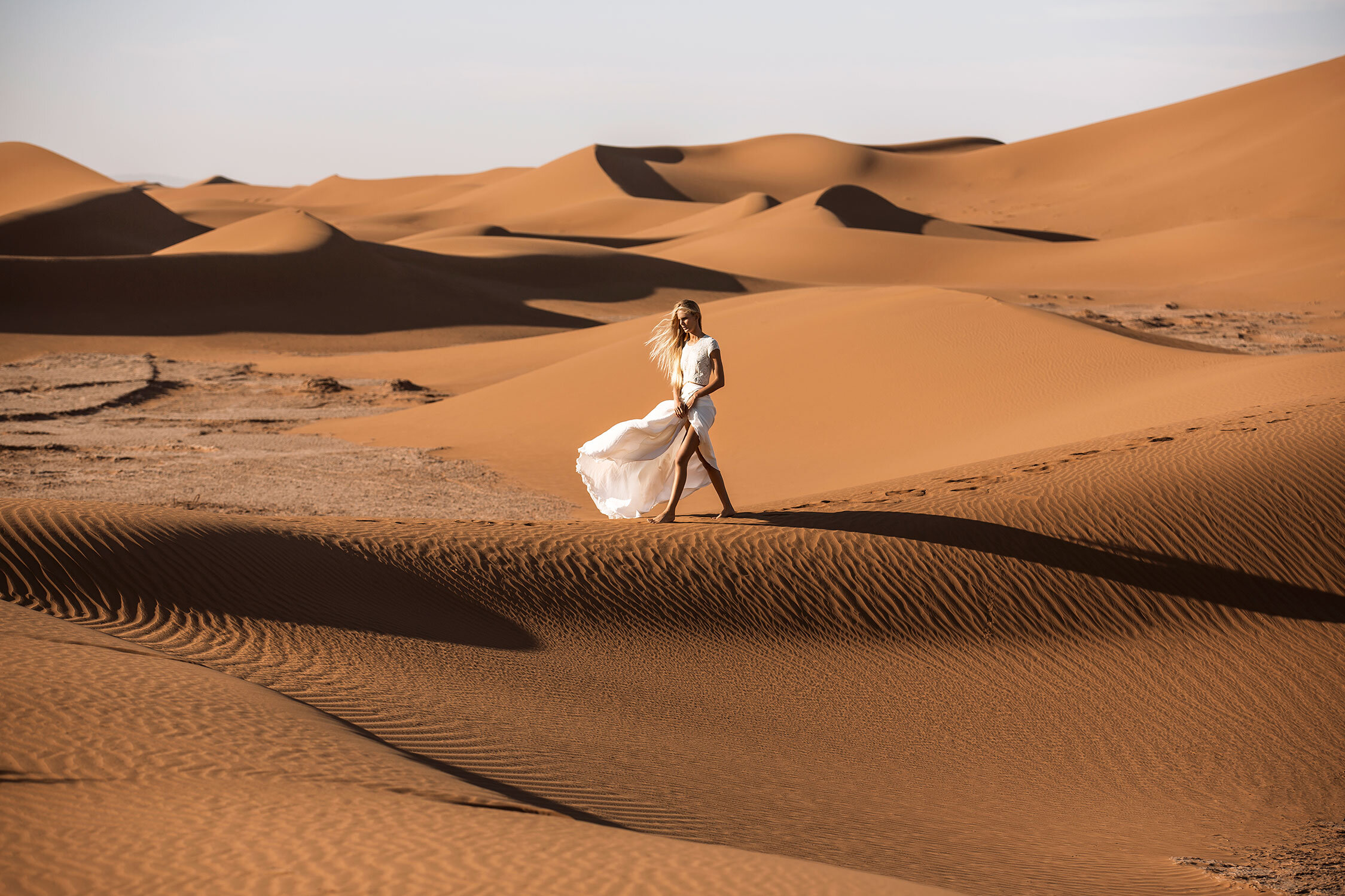   THE LANE   SAHARA DESERT 