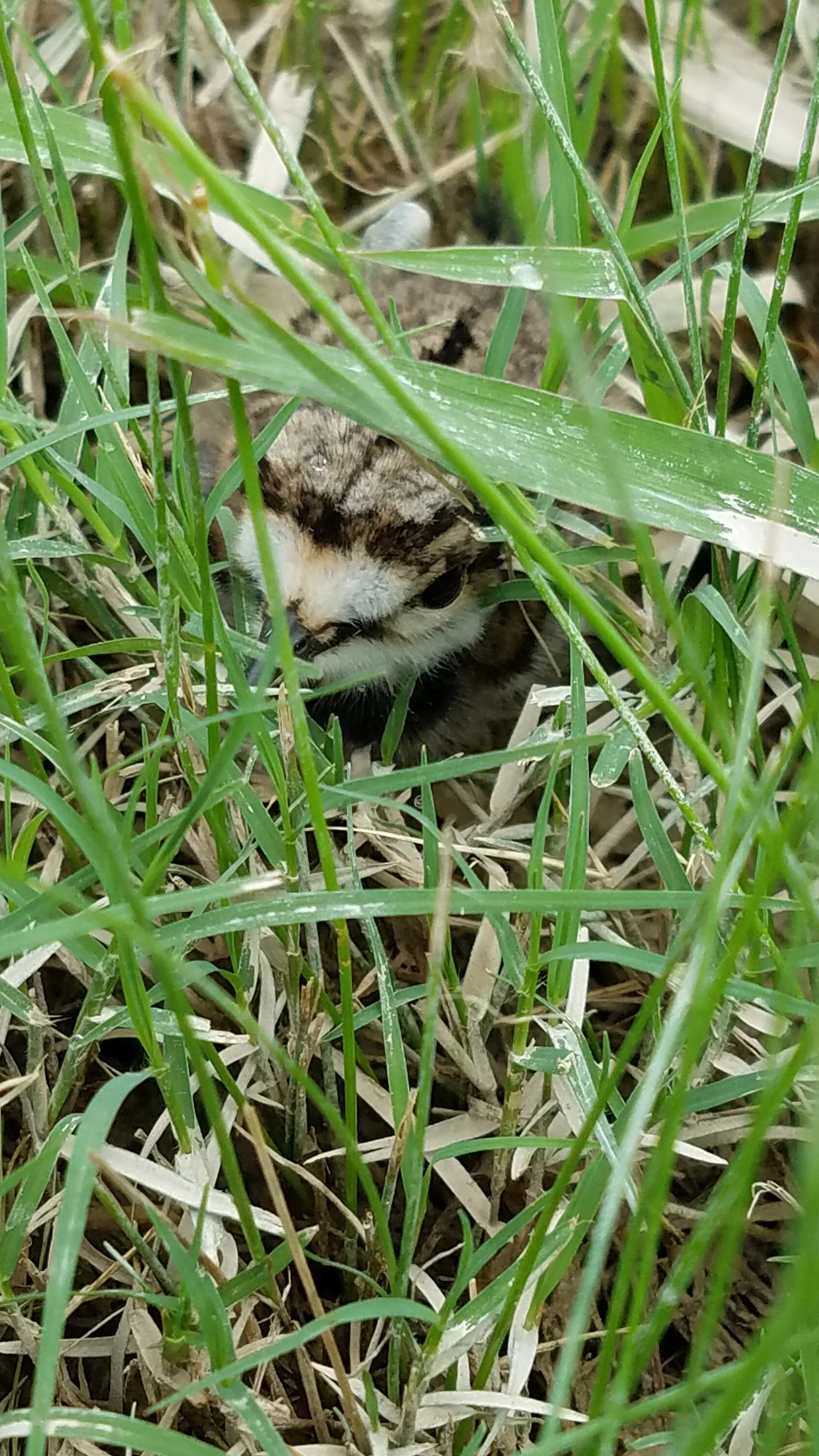 20190620_111626.jpg