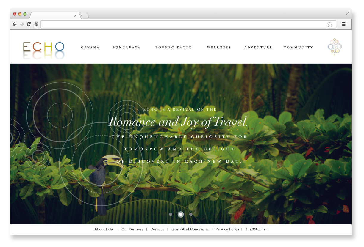 Website design