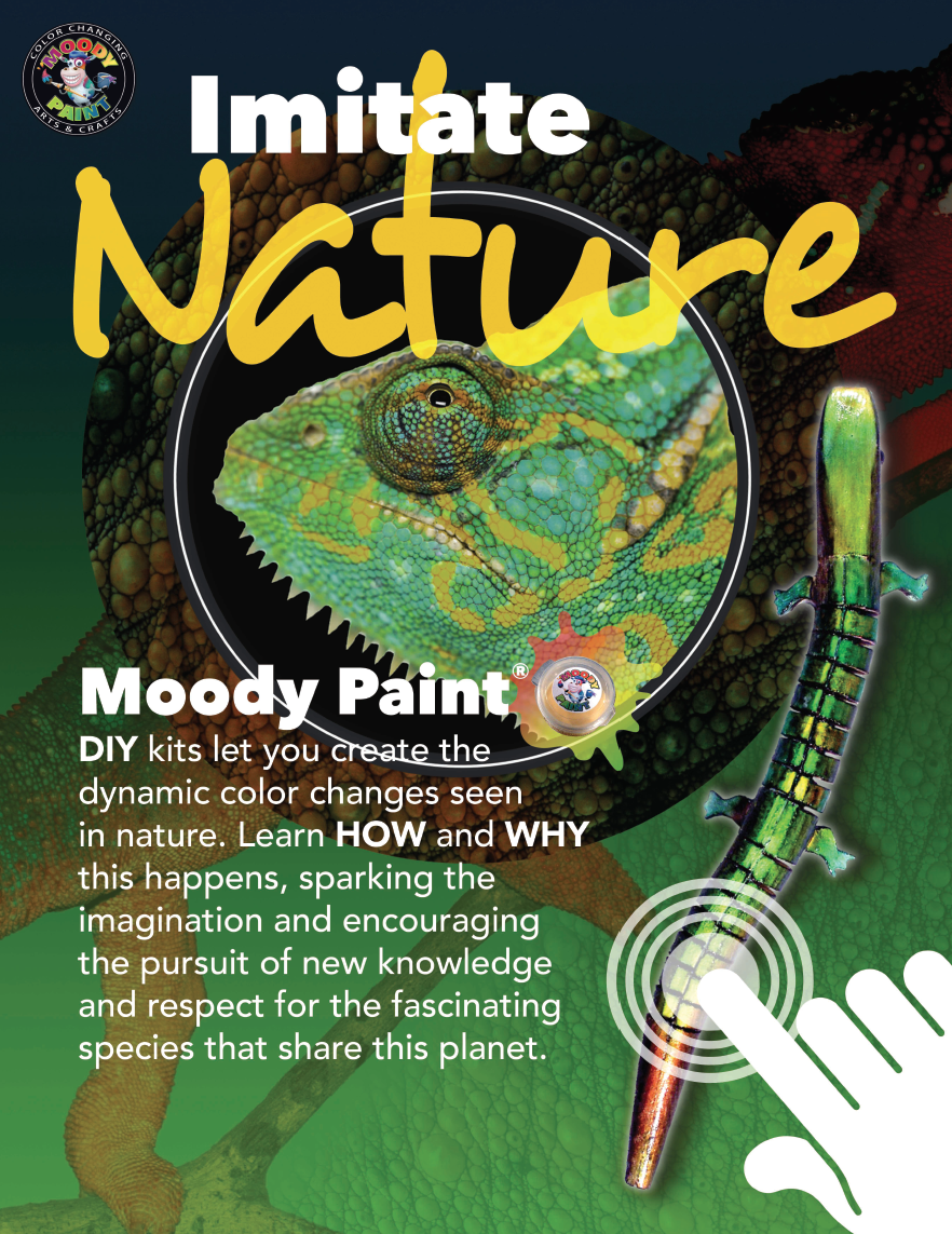 Screen Shot 2018-10-12 at 12.18.13 PM.png