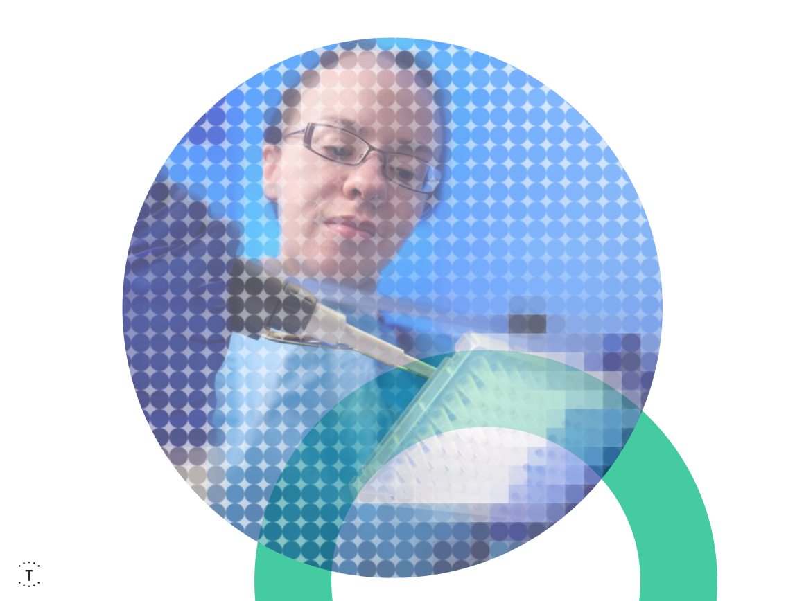 Screen Shot 2018-10-25 at 2.24.16 PM.png