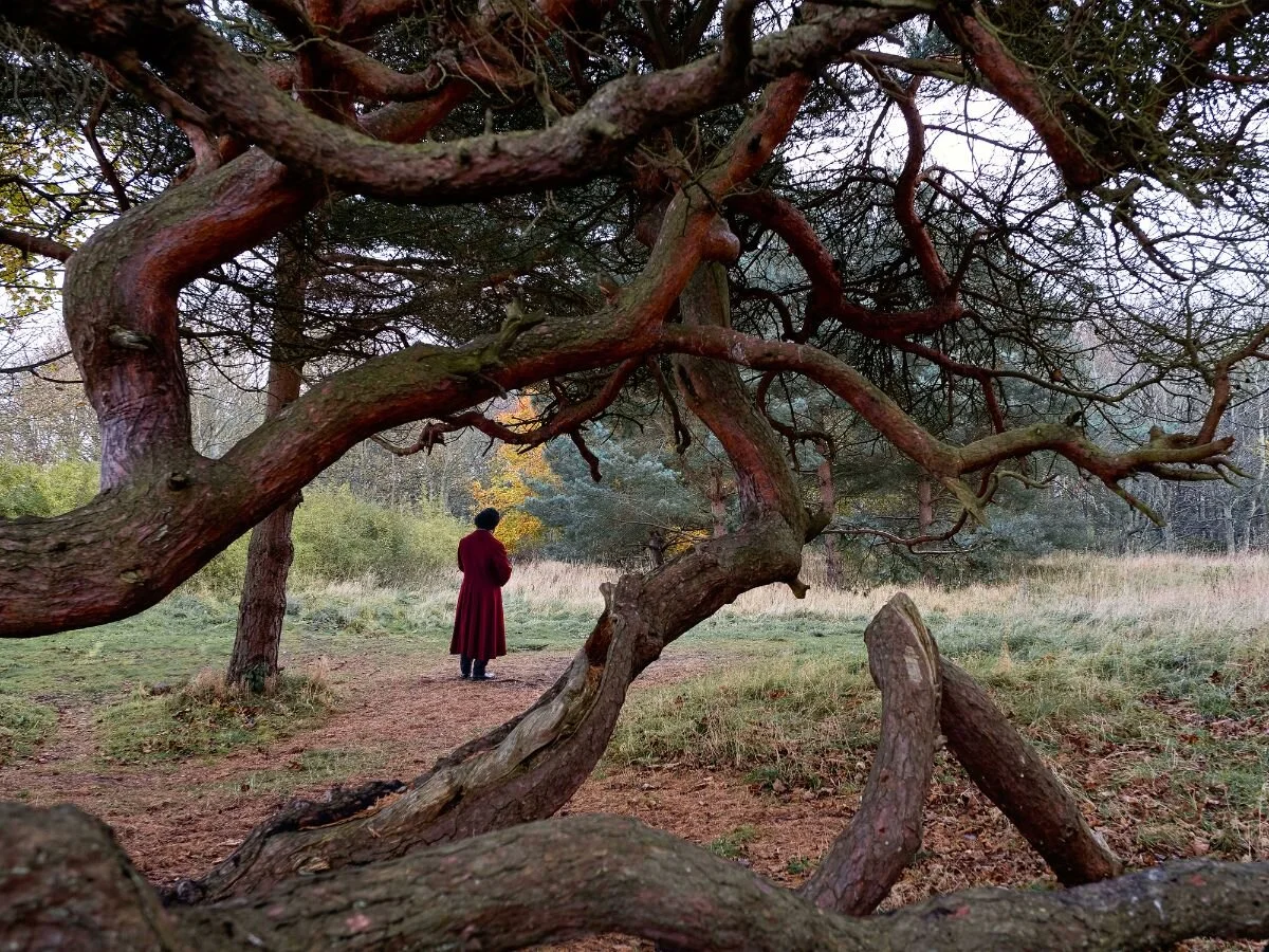 "Isaac Julien's America" opening Friday, March 13 at Jessica Silverman Gallery