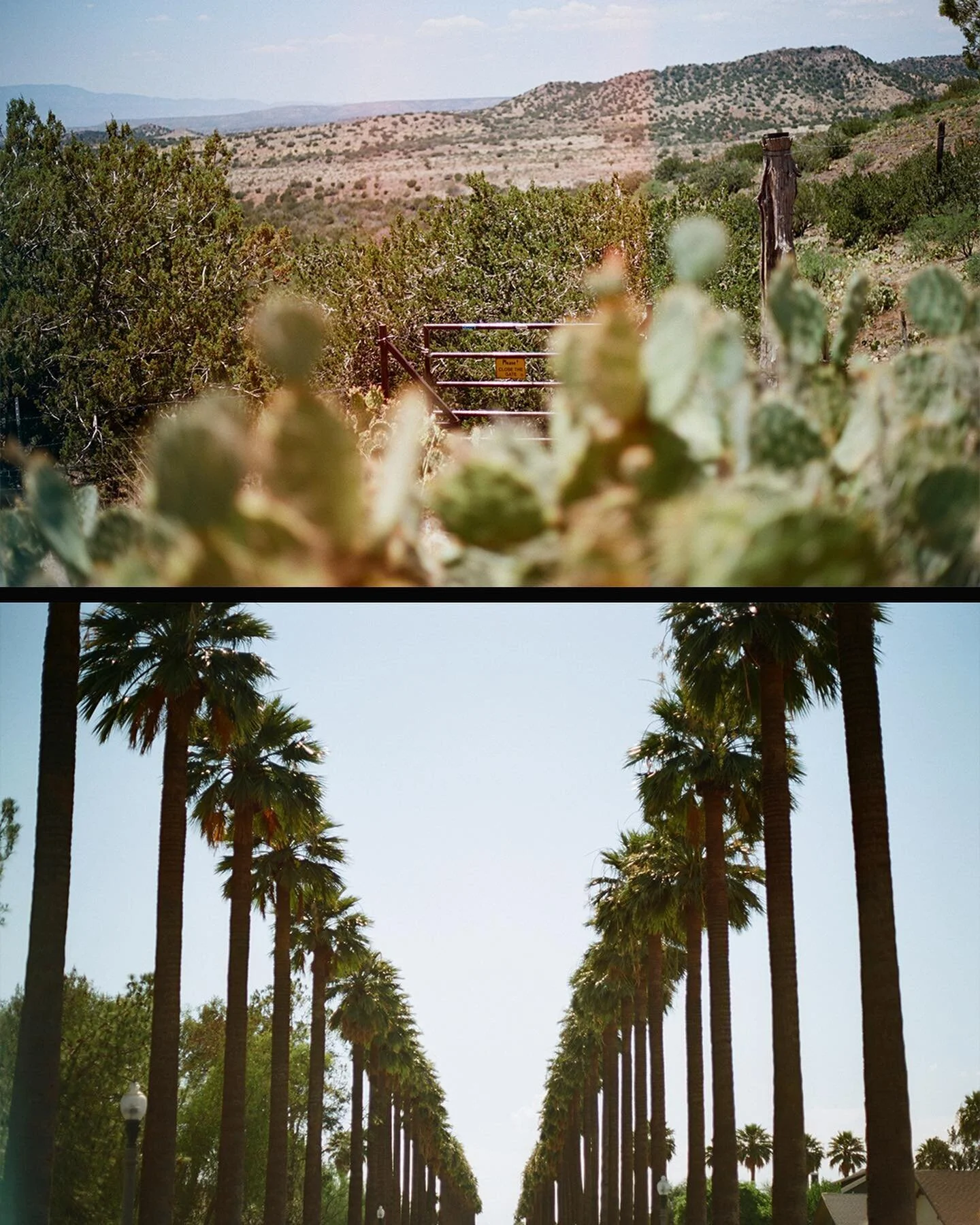 Last Day Roll 🎞 &bull; 6.11.22