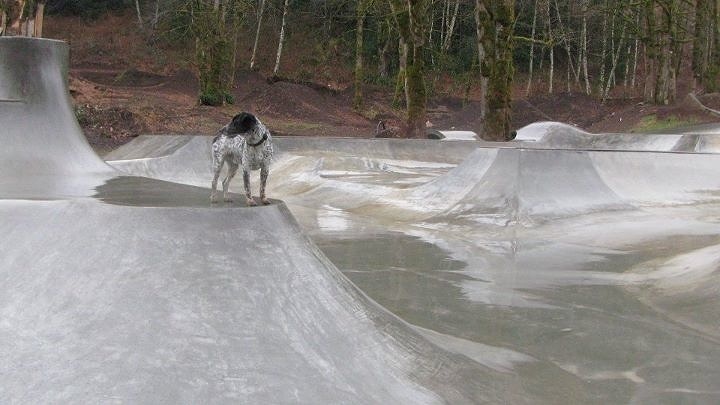 Project manager Noot overseeing the site