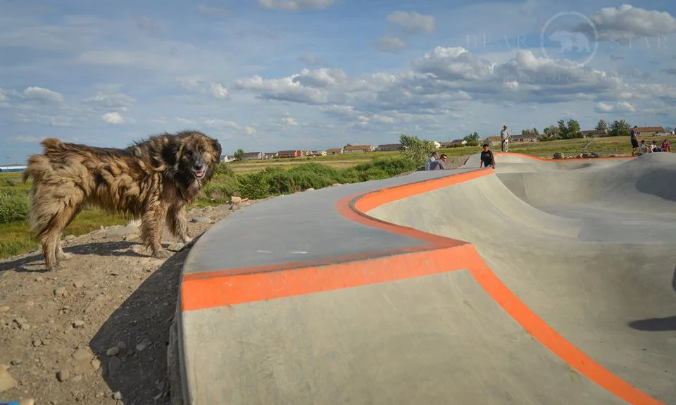 Res Dog at Thunder Park