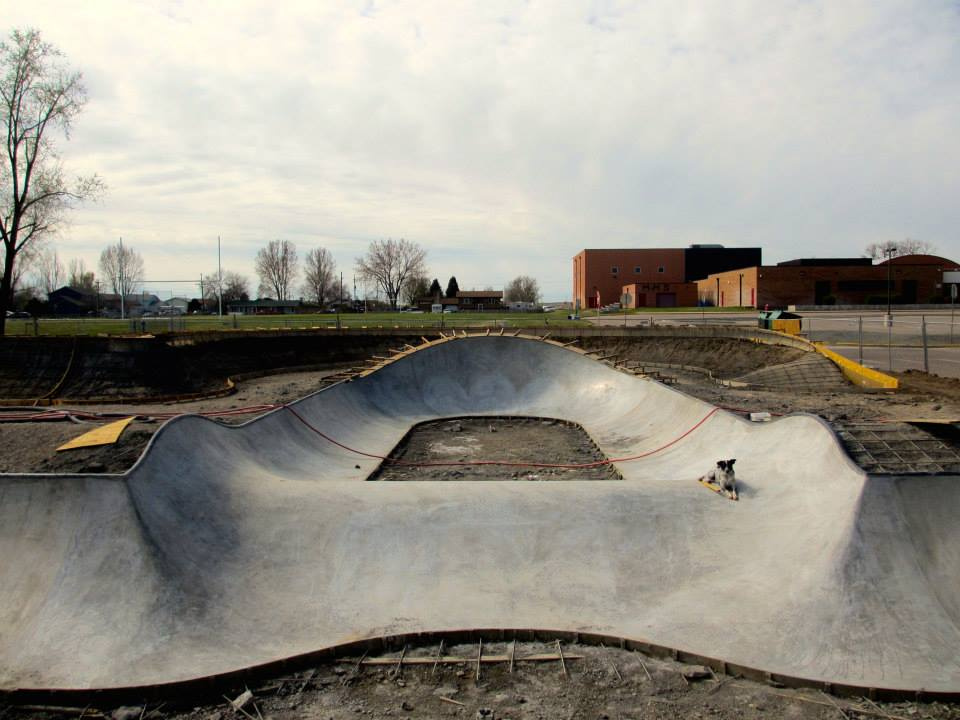 Noot hangs out in the bowl at the Milliken, Colorado Skatepark