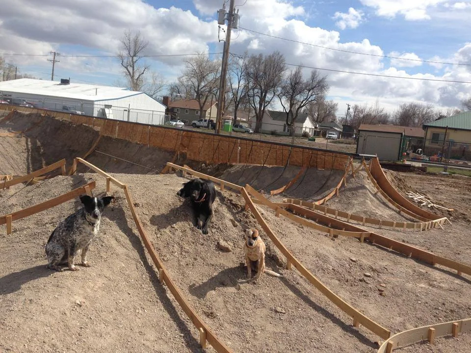 Site dogs: Noot, Joy & Heyla
