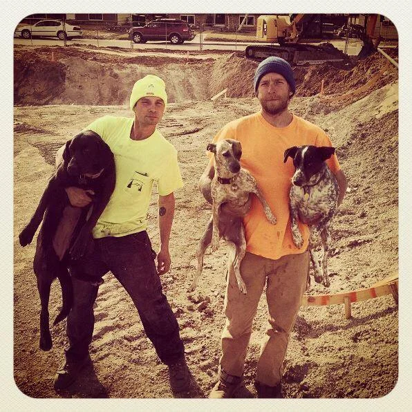 Beasts on site: Joy, Billy, Heyla, Justin & Noot