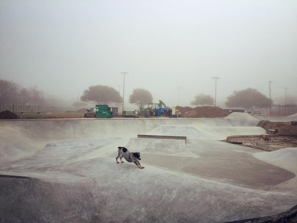 Downward dog at the Fredericksburg, Texas Skatepark