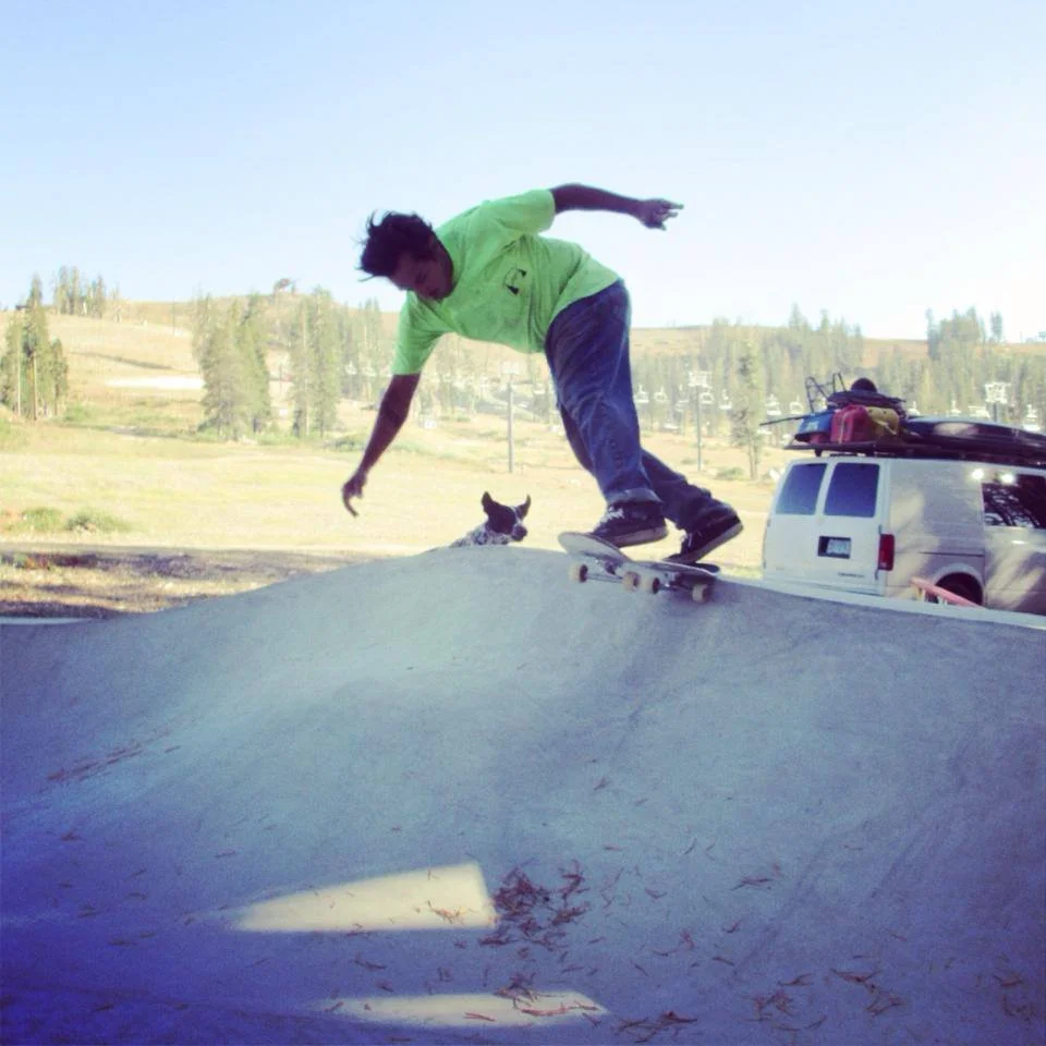 Mike Flint tailslide