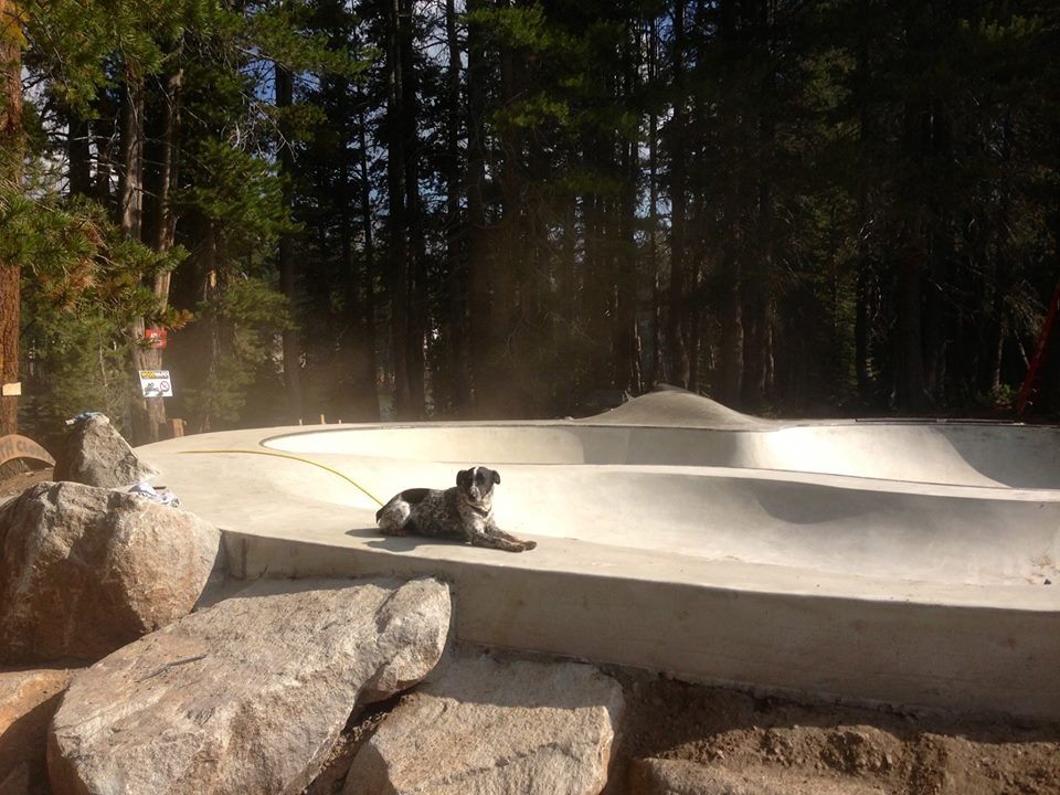 Noot lounges on the concrete at the Woodward Tahoe Skatepark