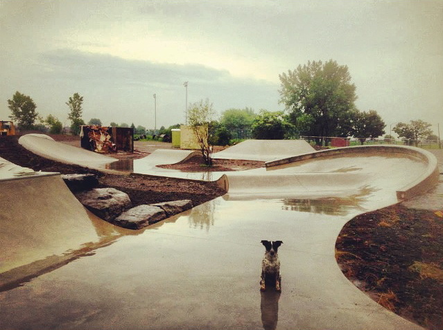 Buffalo, New York Skatepark completed!