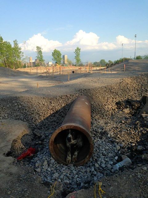 Noot's first day on site at the Buffalo, New York Skate Plaza