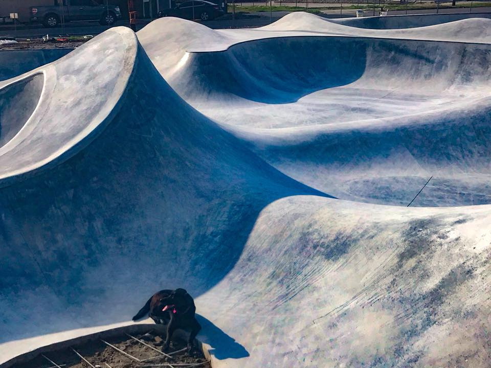 Taylor, Texas Skatepark