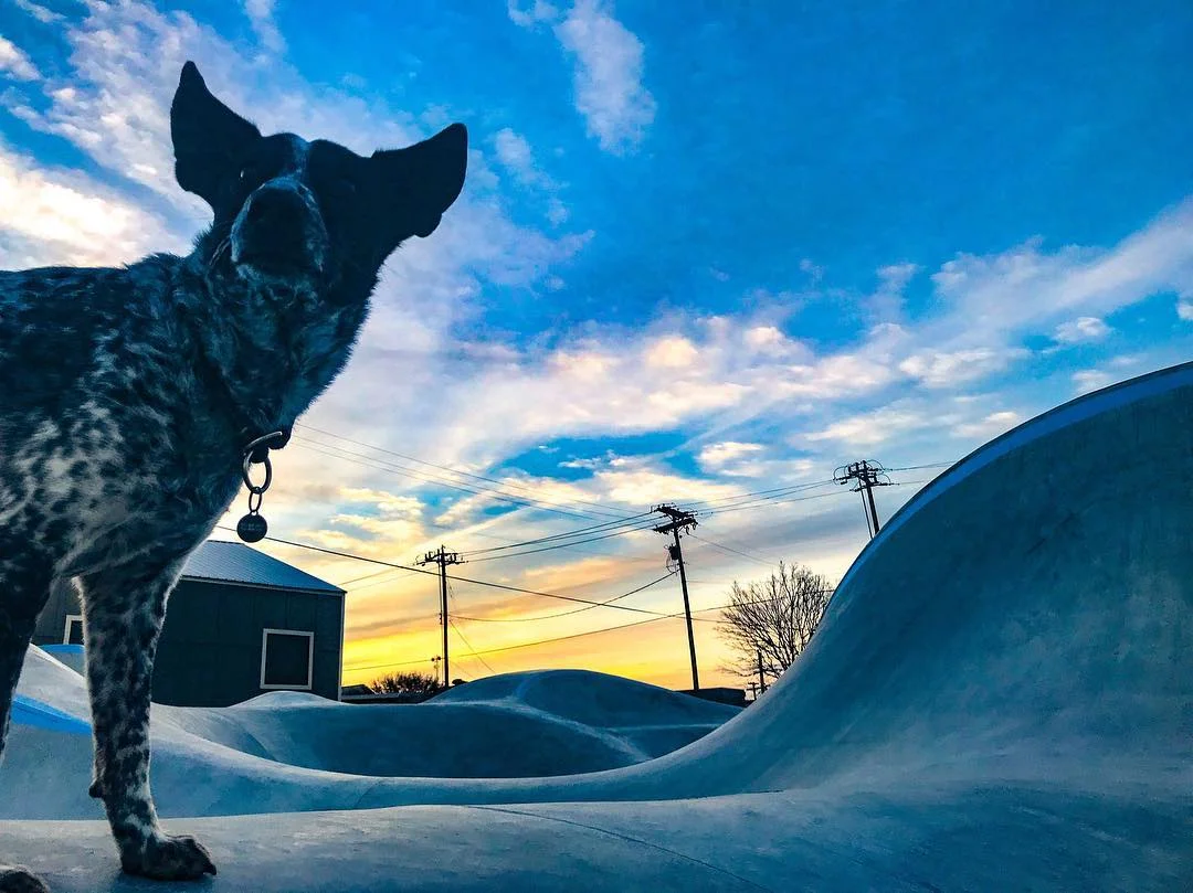 Noot's ready for the Taylor, Texas skatepark to open already.